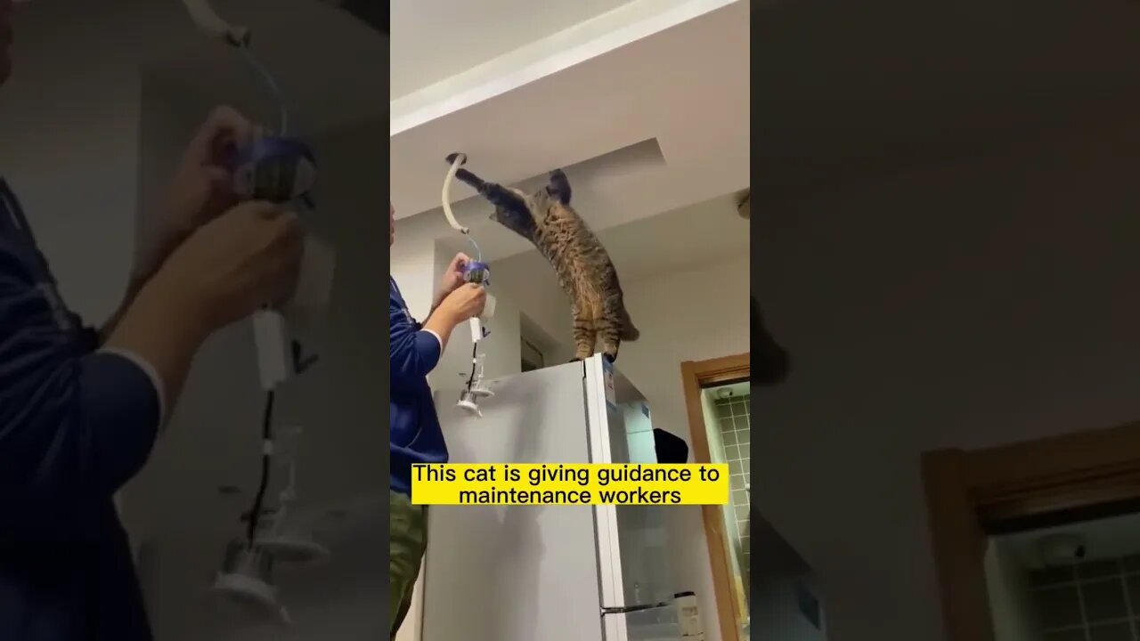 When you get is giving instructions to maintenance workers 🤣￼