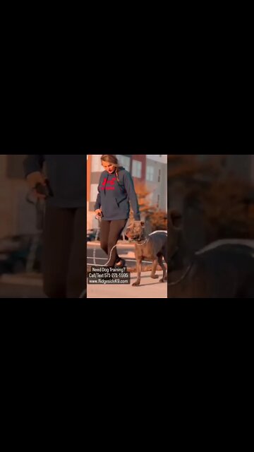 Simple Mindset! Always wins...