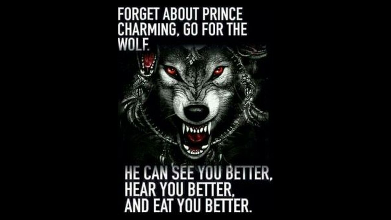 Embrace the path of the lone wolf