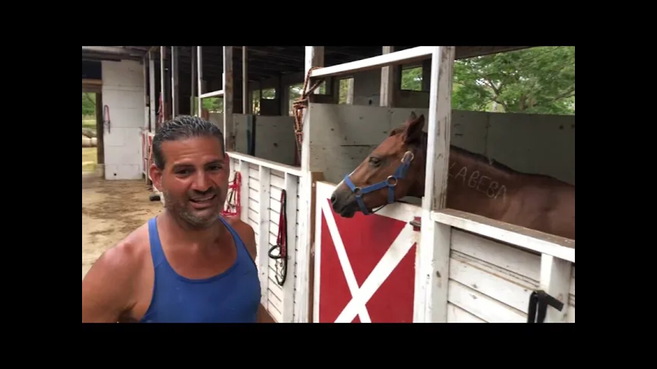 Entrevista con nuestro amigo Alejandro Dueño De La Playuela Horse Riders. Borinquen, P.R.