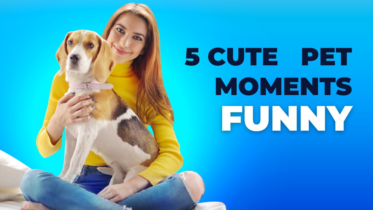 5 cute pet animal moments to make a smile on your face