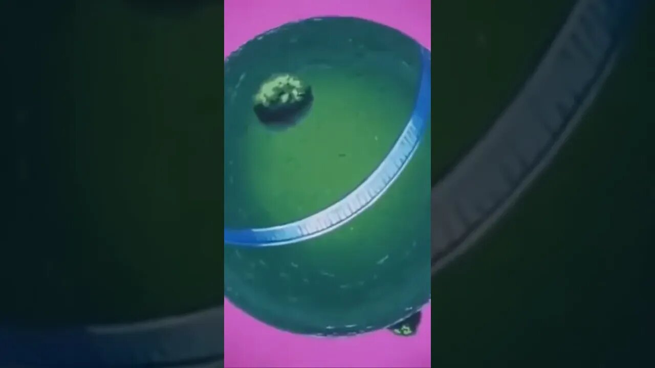 Goku’s Instant Transmission