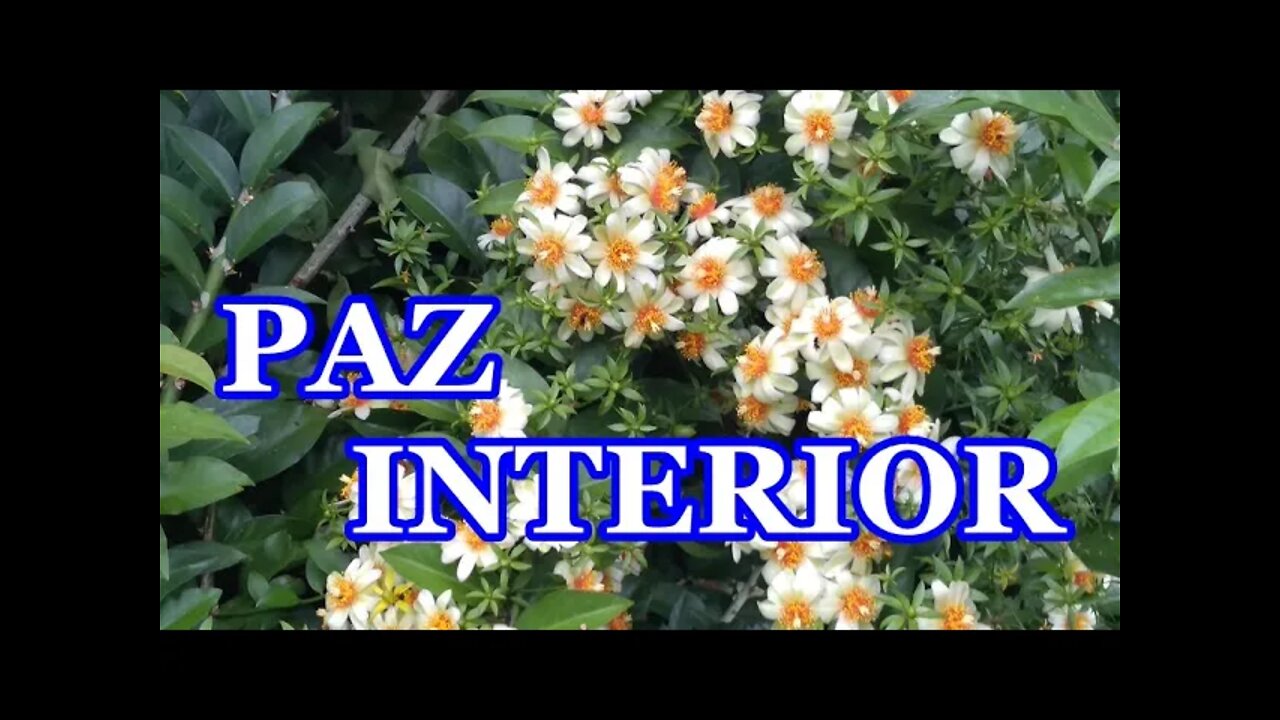 Tranquilizar a Mente: Música Relaxante - Belíssima Paisagem - Paz Interior 🙏 💖 Piano