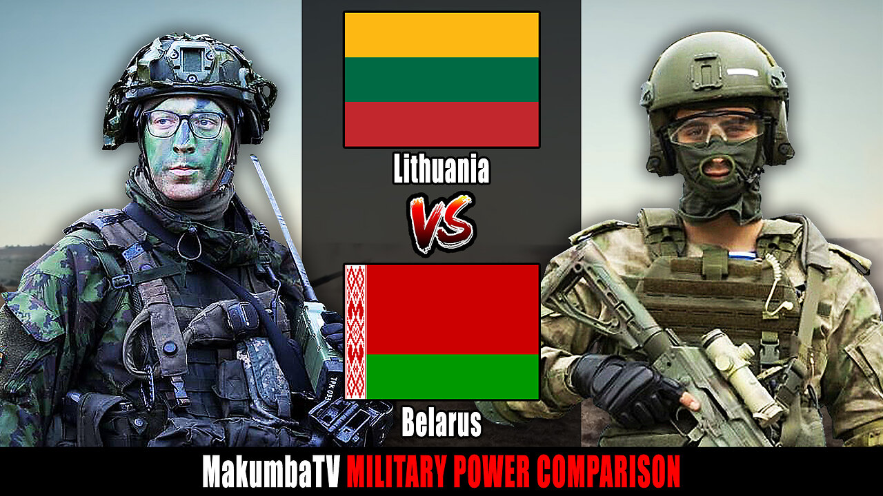 Lithuania vs Belarus 2024 | Military Power