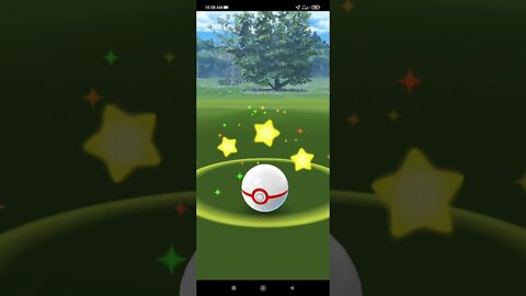 Pokémon GO-Shadow Mudkip