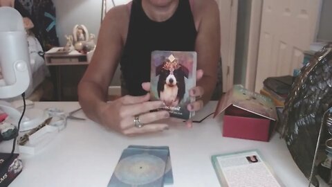 Box opening of Colette Baron-Reid's The Spirit Animal Oracle deck #TAROT #ALLSIGNS