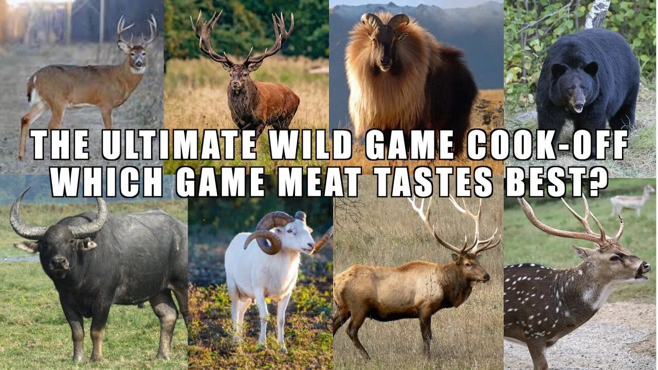 ULTIMATE Wild Game COOK-OFF!