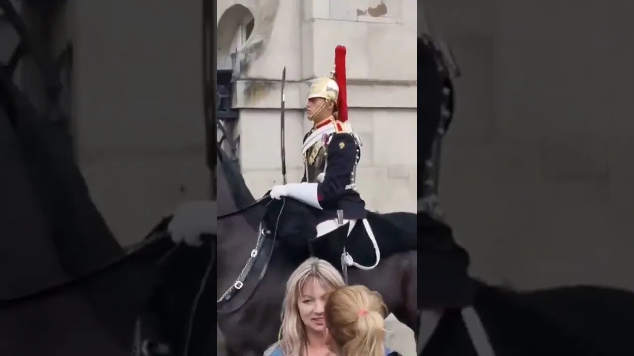 tourist takes a picture in the way of the horse #horseguardsparade