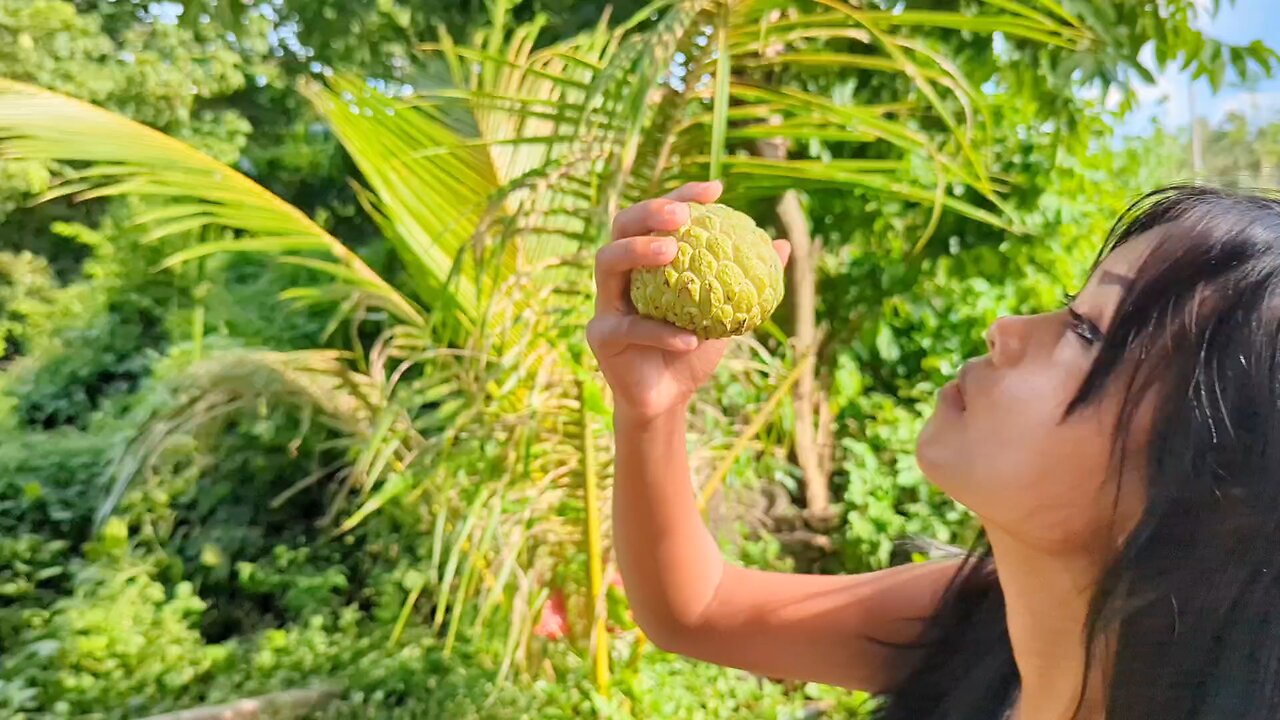 🇵🇭 Filipina Beauties Pick Fruit & Climb Trees Dumaguete OFF GRID ISLAND LIVING PHILIPPINES