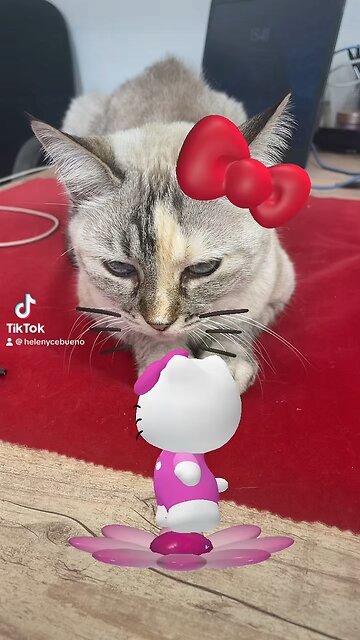 Anita a garota TikTok