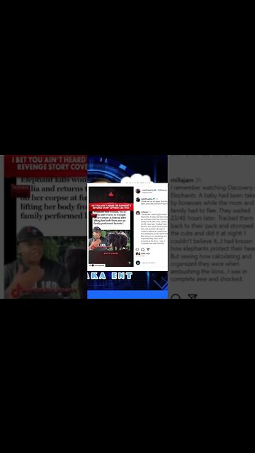 Elephant kills women and attends funeral