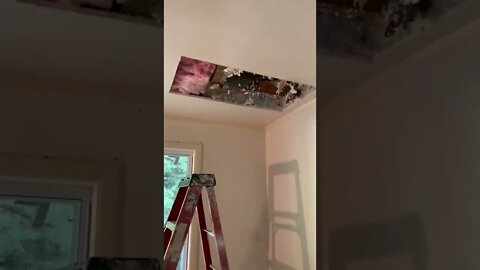 DaamnTalk - DaamnTalkDIY - DO THIS BEFORE patching ceiling