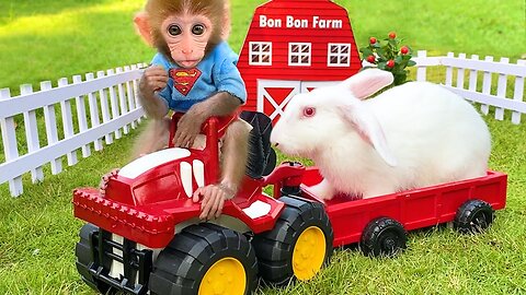 Baby rabbit lost in the forest is returned by Baby Monkey Bon Bon by farm car, funny animal video