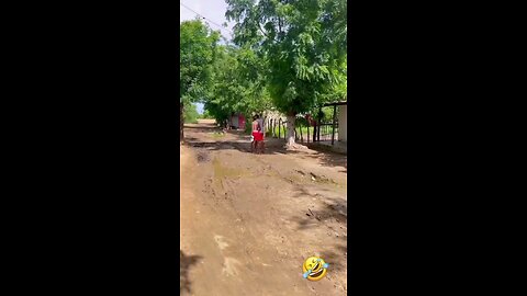 Funny videos