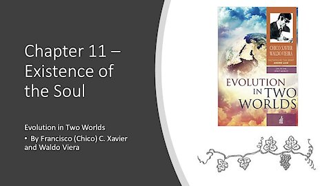 Evolution in Two Worlds – Chapter 11 – Existence of the Soul