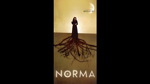 Norma