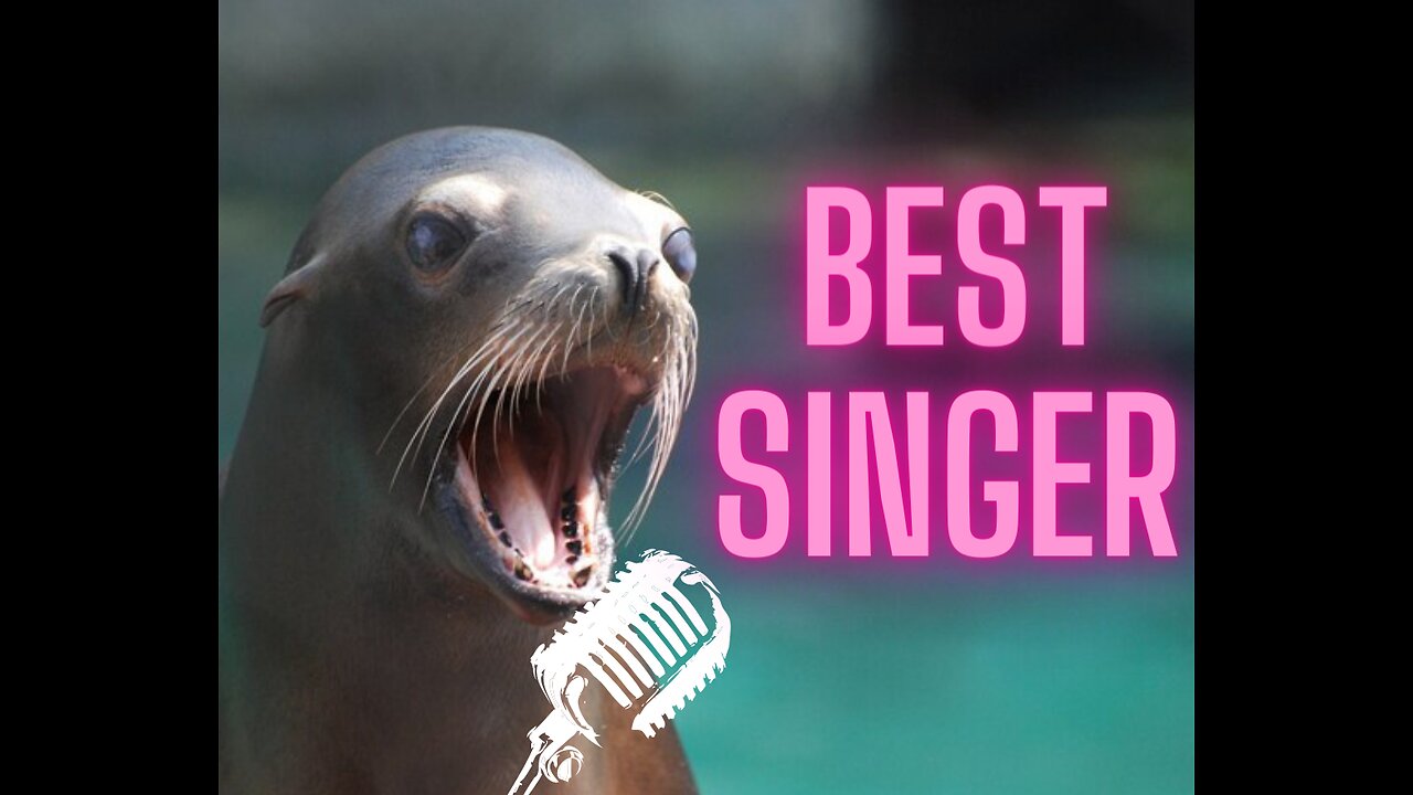 The most incredible singing seal!