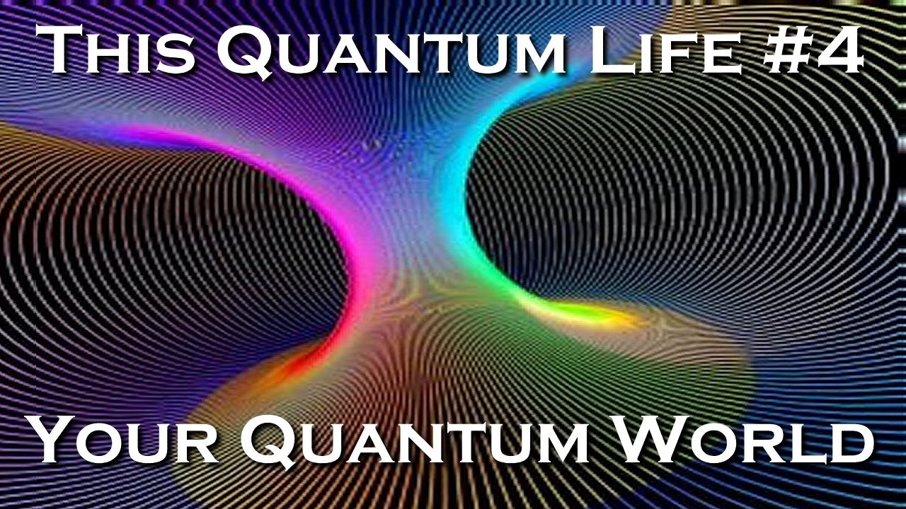 This Quantum Life #4 - Your New Quantum World