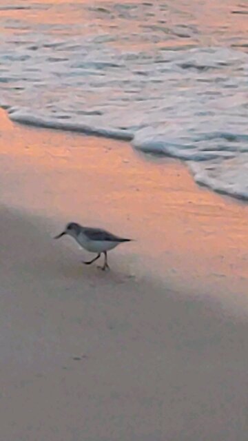 At the beach somewhere