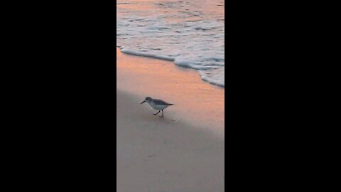 At the beach somewhere