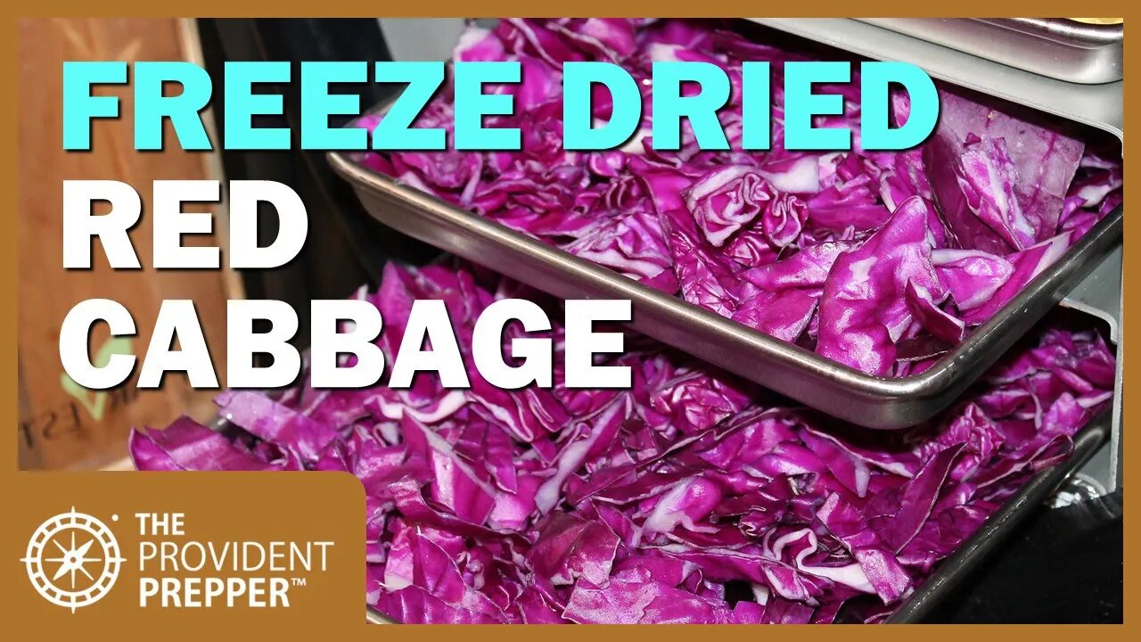 Food Storage: Freeze Dried Red Cabbage