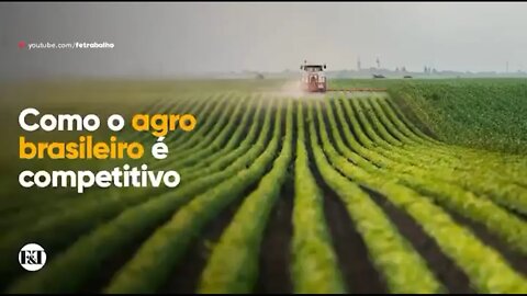 A eficiência do Agro Brasileiro em comparação com outros países