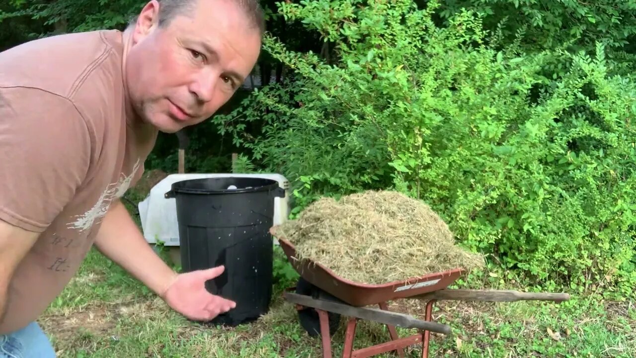 Starting A Compost System, Turn A Negative Into A Positive