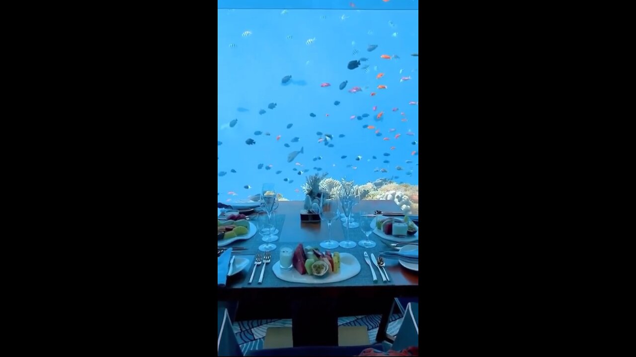 Wonderful Place
