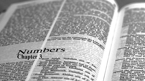 The Book of Numbers. Part 3. CH 3.