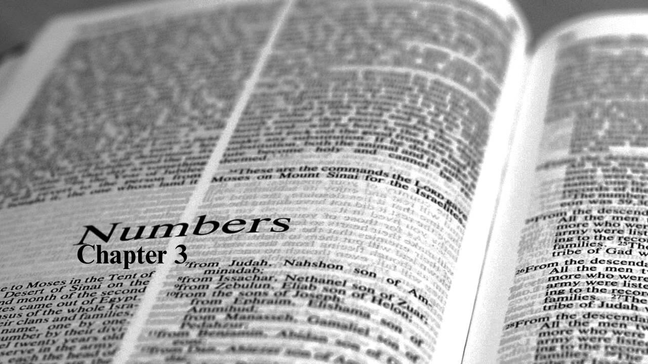 The Book of Numbers. Part 3. CH 3.