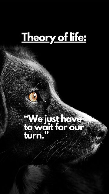 Theory of Life, Chances in Life, Triumph over Challenges