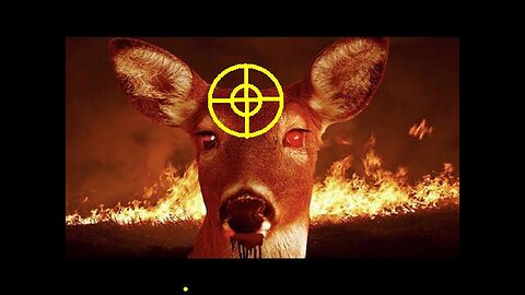 The Zombie Deer Apocalypse! Wildlife Are Under Attack So You Can't Rely On Hunting For Food!