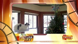 Our Art's Cameras Plus Picture of the Day for December 16!
