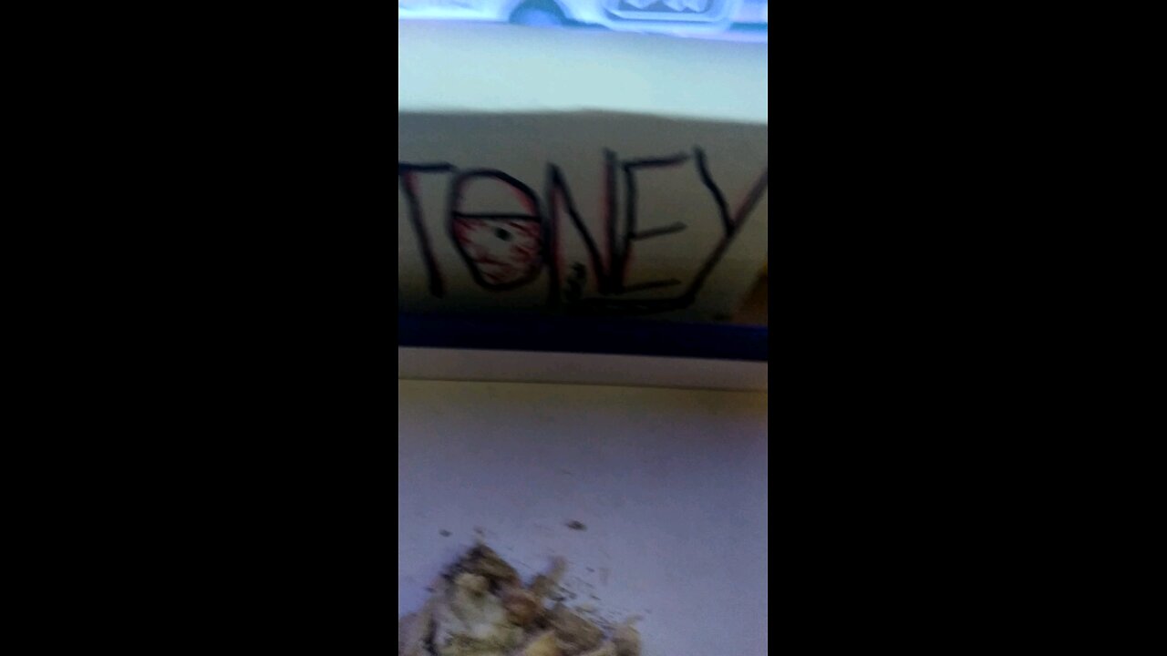 🍄 intro