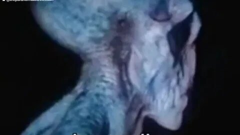 The extraterrestrial encounter