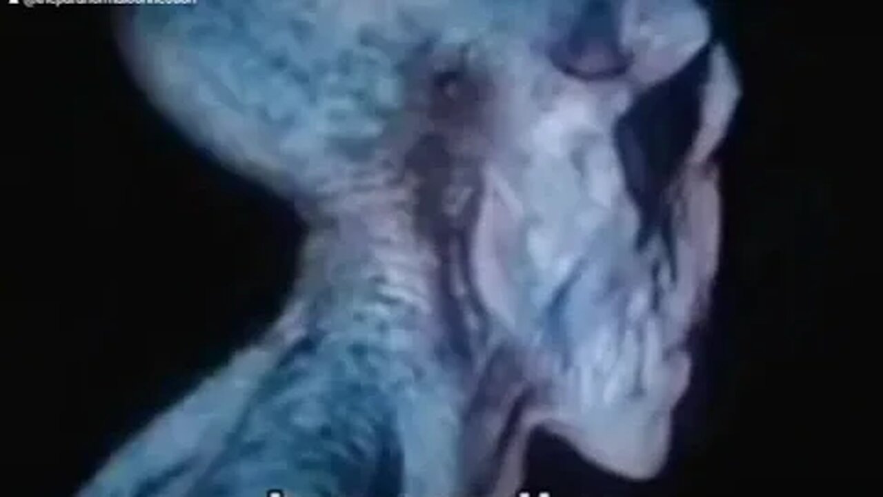 The extraterrestrial encounter