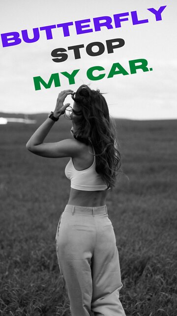 can butterfly stop my car