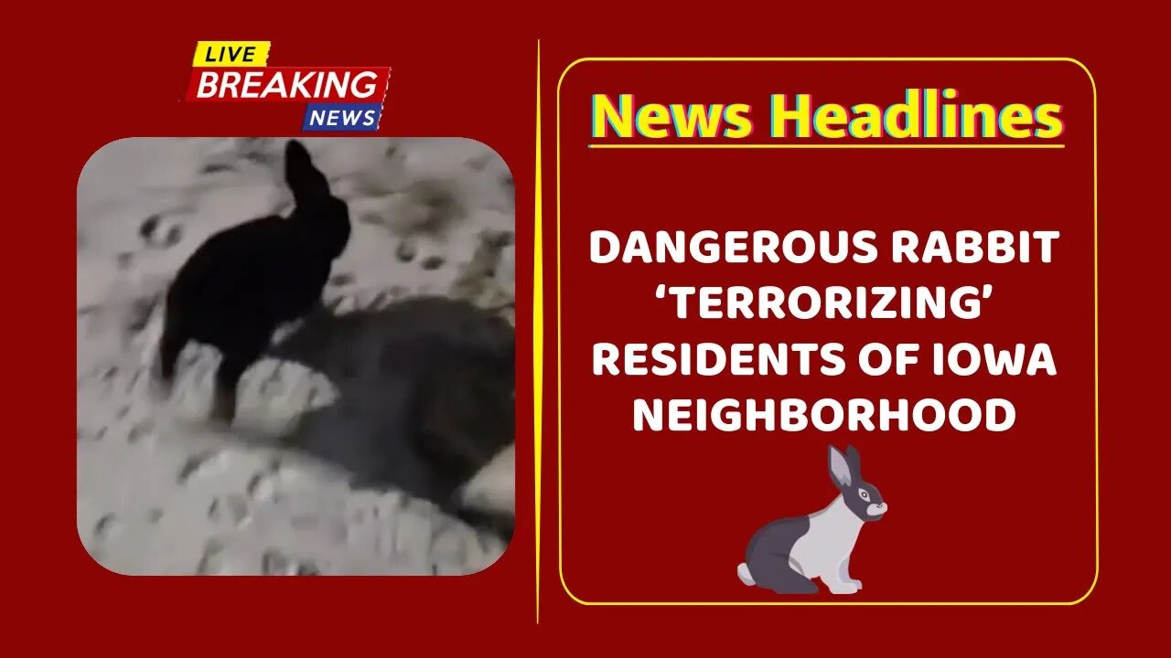 Dangerous rabbit ‘terrorizing’ residents of Iowa neighborhood