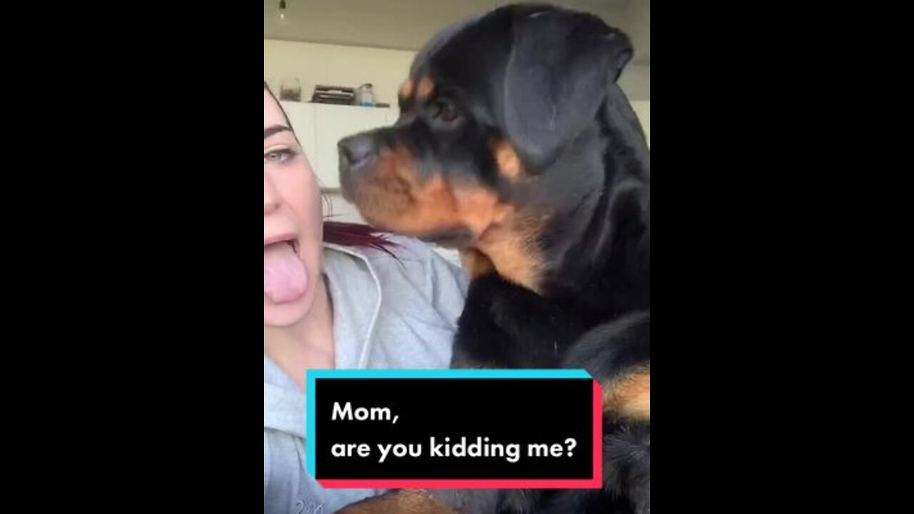 Mom, are you kidding me ?😂 #gangrottie #rottweiler #trend #dogchallenge