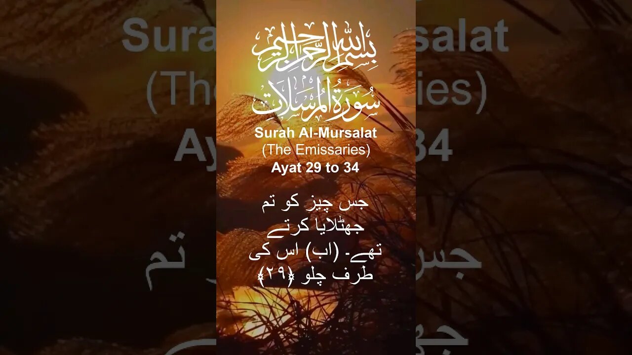 Surah Al Mursalat in Urdu Translation Ayat29to34 #youtube#youtubeshorts#ytshorts#viral#shorts#short