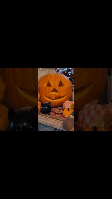 Happy Halloween from Cecere Homestead