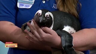 SeaGrapes Wine and Food | Morning Blend