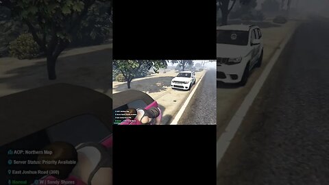 Bertha tries to get out of a ticket #floridastaterp #gta5 #gtav #rockstar #gtarp #gaming