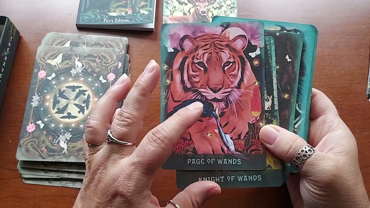 Unboxing The Raven's Dream Tarot By MJ Cullinane