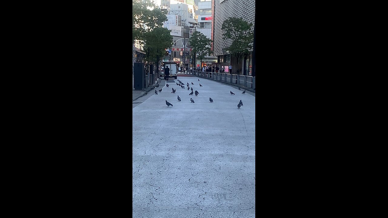 tokyo street// shimbashi// japan