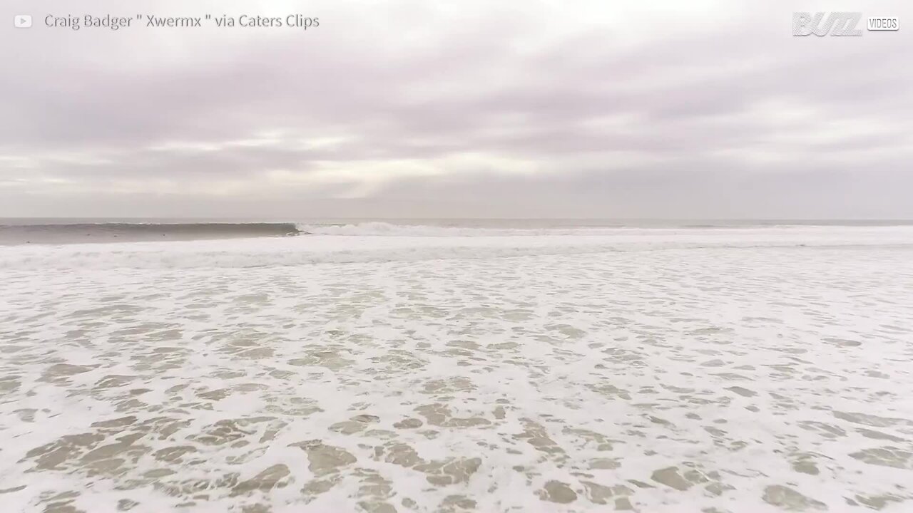 Ce surfer partage quelques vagues avec des dauphins