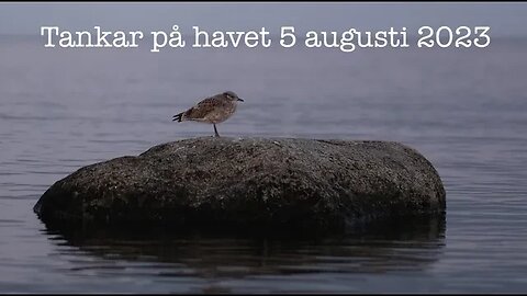 Tankar på havet 5 augusti 2023