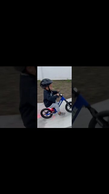 3 Years Old & Hitting the Big Jumps!