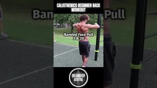 Calisthenics Beginner Back Workout