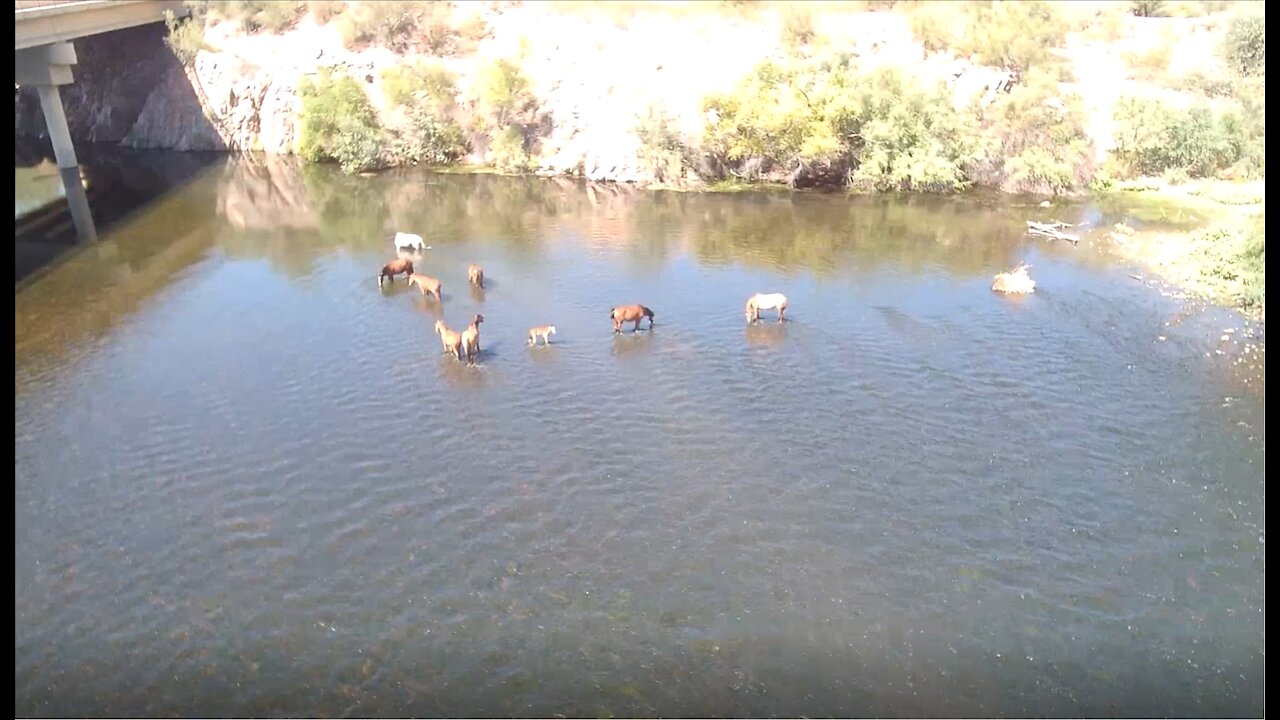 Lakes n Rivers n Dams n Horses n Drone Fun